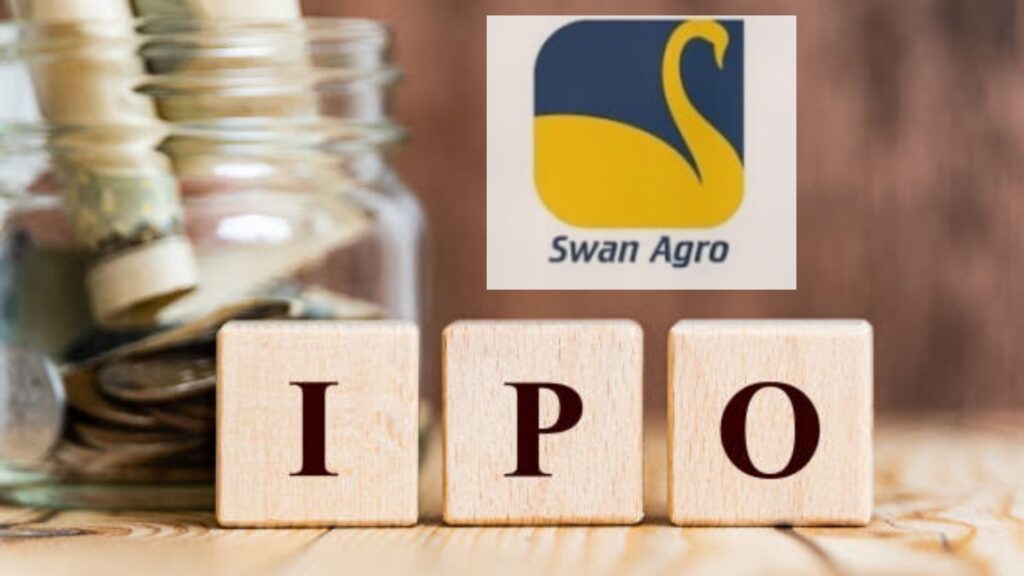 New Swan Multitech IPO